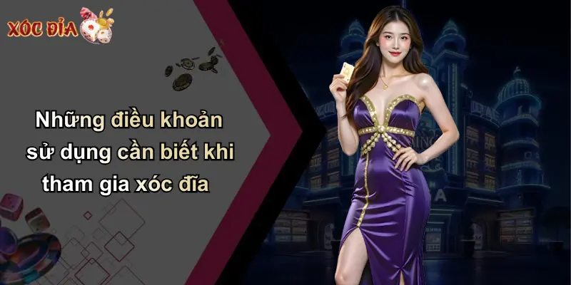 Những điều khoản sử dụng cần biết khi tham gia xóc đĩa