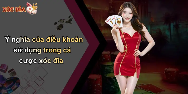 Ý nghĩa của điều khoản sử dụng trong cá cược xóc đĩa