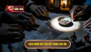 Cách Nhận Biết Cầu Gãy Trong Xóc đĩa