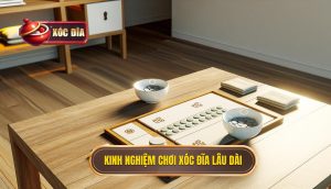 Kinh Nghiệm Chơi Xóc đĩa Lâu Dài