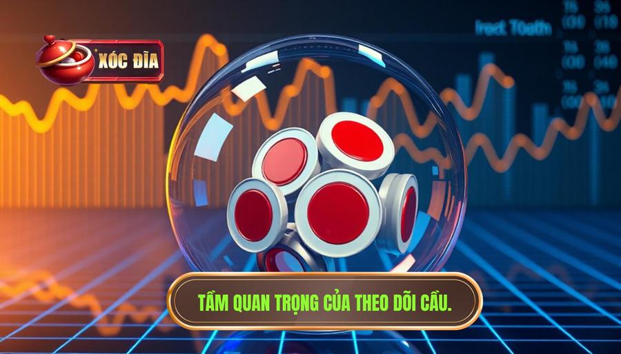 Tại sao việc theo dõi cầu xóc đĩa lại quyết định 80% thắng lợi?