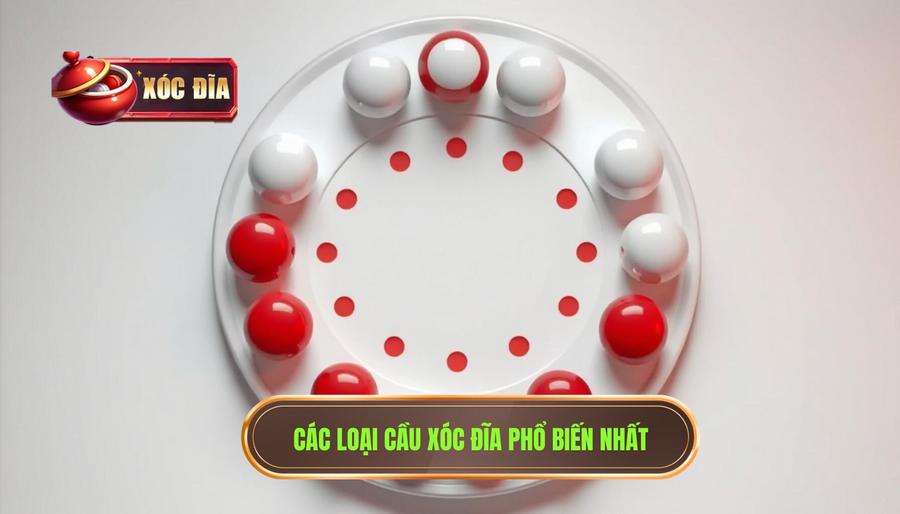 Các loại cầu xóc đĩa phổ biến nhất hiện nay