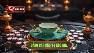 cầu 1-1 xóc đĩa