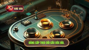 theo dõi cầu xóc đĩa